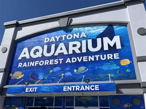 daytona beach aquarium and rainforest